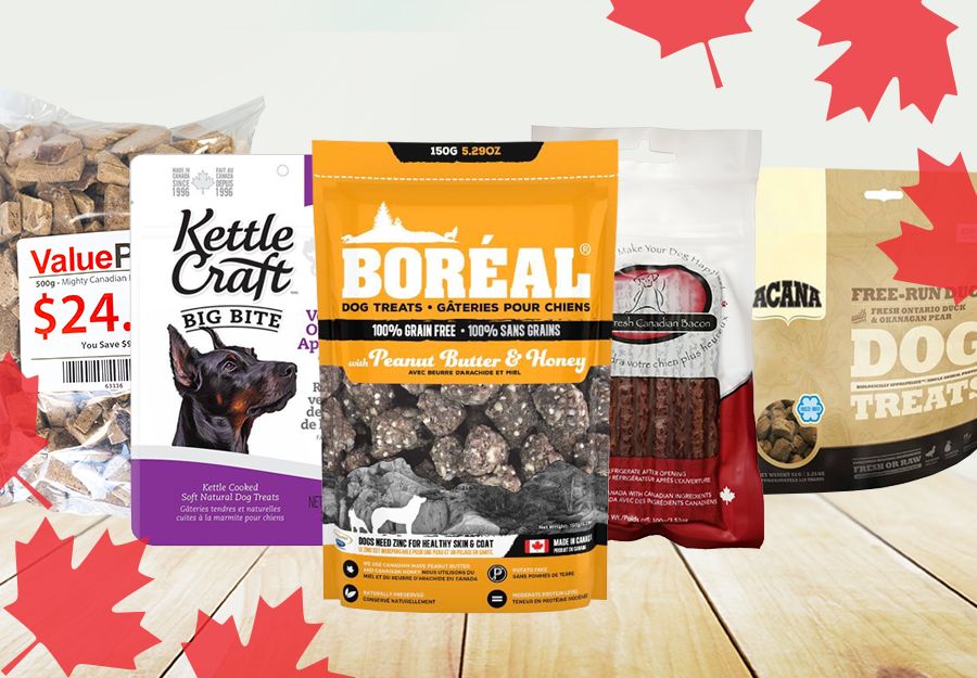 Top 20 CanadianMade Dog Treat Brands You Can Feel Good About